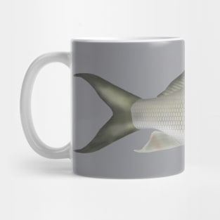 Osteochilus melanopleura Mug